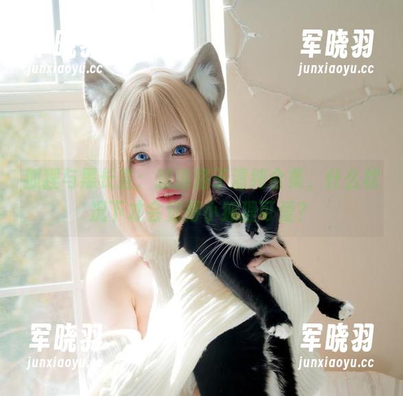 狐洛洛子 狐狸与黑长直:狐洛洛子清纯合集,什么状况下才会觉得小狐狸可爱?